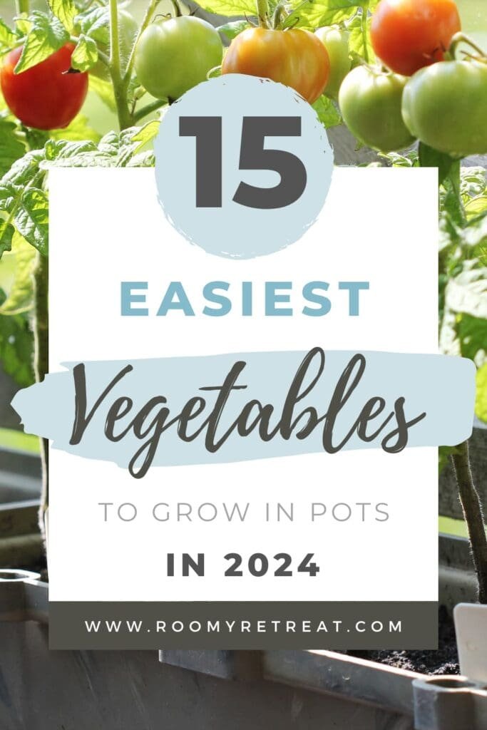 Easy Vegetables to Grow in Pots